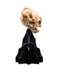 Lord of the Rings Miniature Skull of a Warg 20 cm obrázok 2