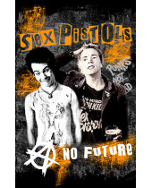 Sex Pistols - No Future (vlajka)