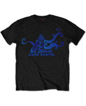 Pink Floyd - Dark Side of the Moon Swirl (Black) (tričko)